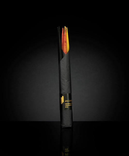 Svíčky Apisky štíhlé mix