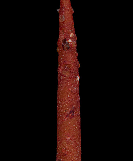 Svíčky Apisky Dragon Myrrha štíhlé - detailní pohled